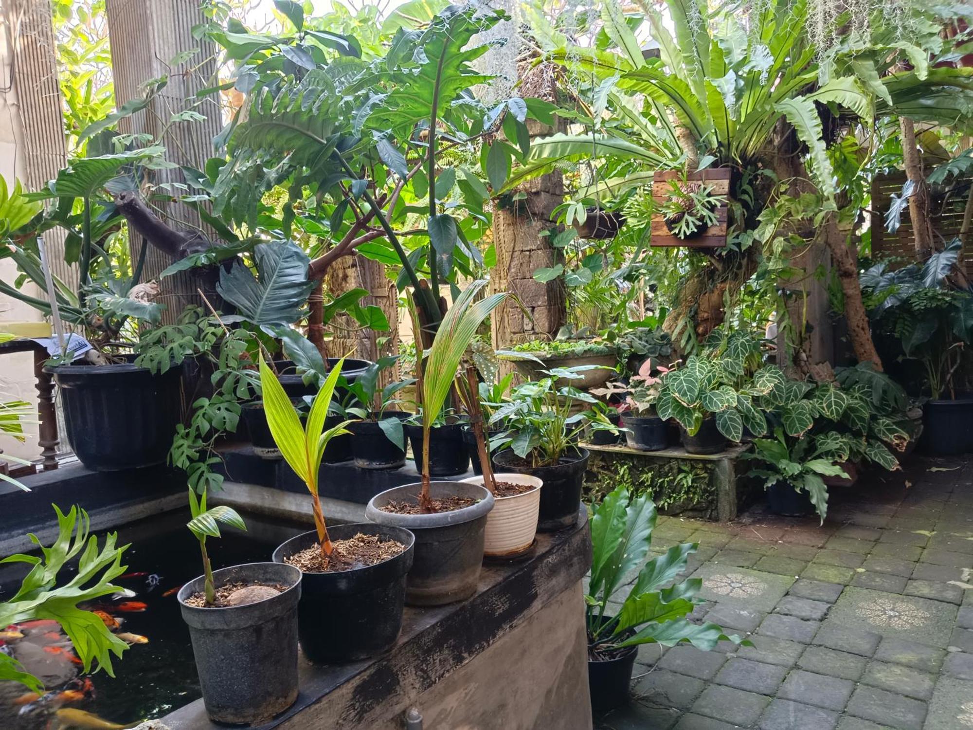 Double N Guesthouse Sanur  Ngoại thất bức ảnh