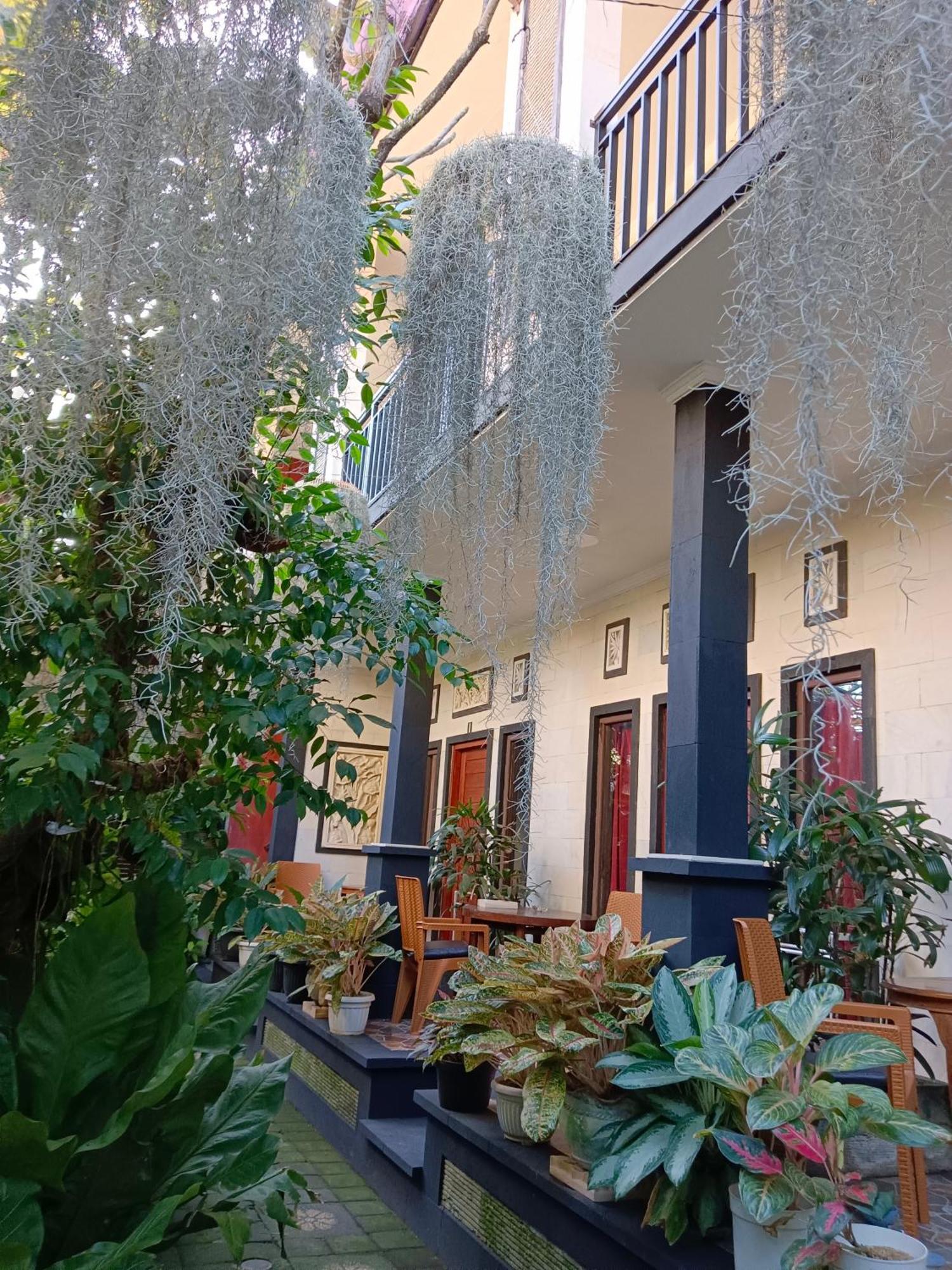Double N Guesthouse Sanur  Ngoại thất bức ảnh
