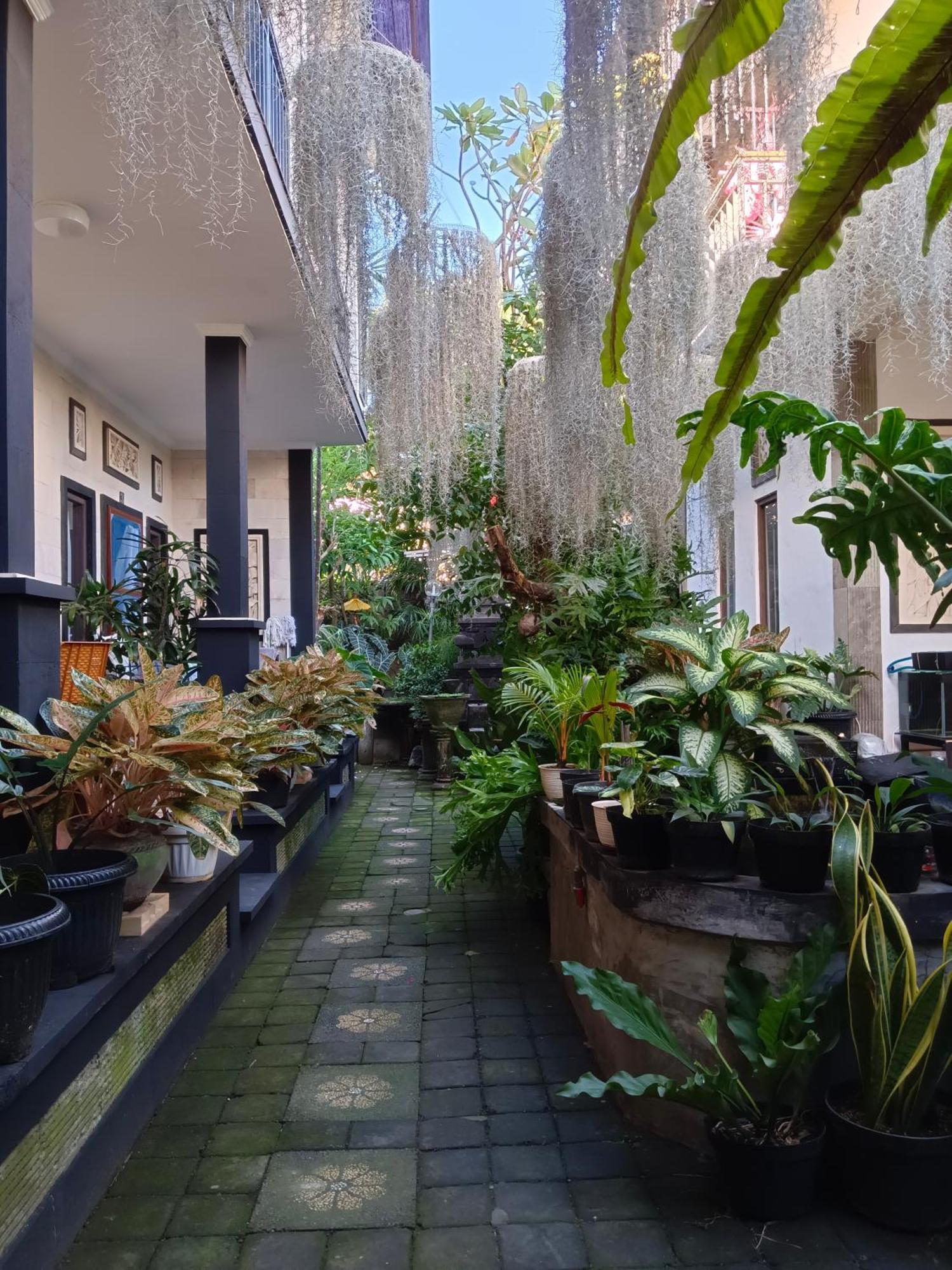 Double N Guesthouse Sanur  Ngoại thất bức ảnh