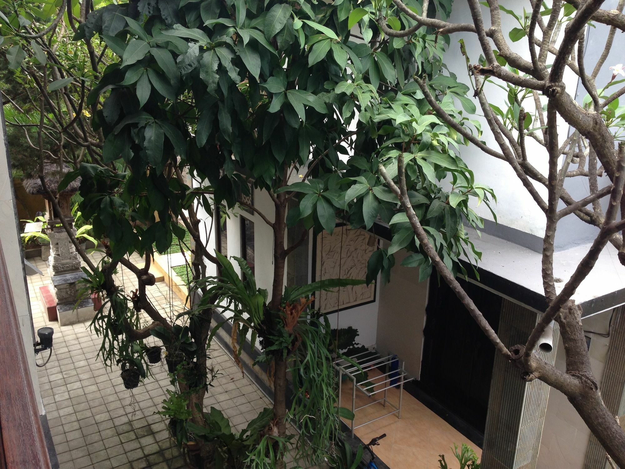 Double N Guesthouse Sanur  Ngoại thất bức ảnh
